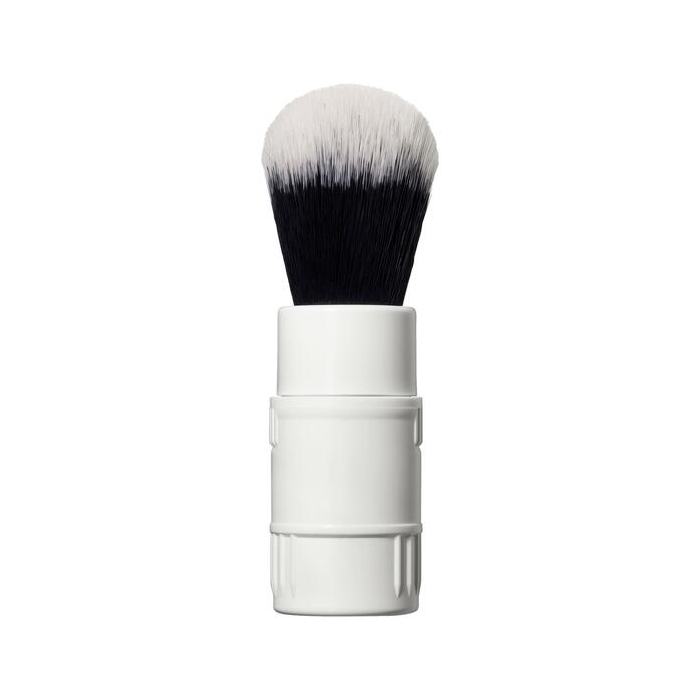 Click-In Brush
