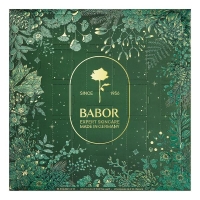 Adventskalender 2025