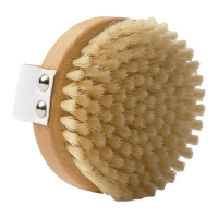 Body Brush