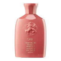 Bright Blonde Shampoo Travel