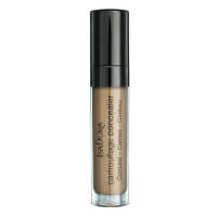 Camouflage Concealer