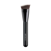 Face Brush