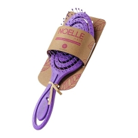 Hairbrush Purple Spiral