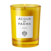 Insieme Candle