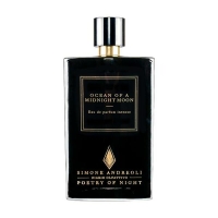 Poetry of Night Ocean of a Midnight Moon 