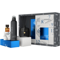 Survival Kit for Busy Men 2023 =Fragr.100ml+Sticks EdP15ml + SG 70ml+HC 70ml+ SF200ml + SC70ml + Sh.250ml+ BL200ml + Deo200ml +CP 2x3g + MG115ml