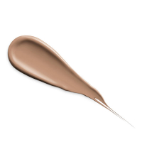 Teint Idole Ultra Camouflage Concealer