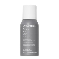 Perfect Hair Day Dry Shampoo