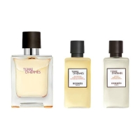 Terre d&#39;Hermès Set = EdT Nat. Spray 50 ml + Shower Gel 40 ml + Afer Shave Lotion 40 ml