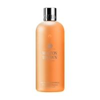 Thickening Shampoo mit Ingwer Extrakt
