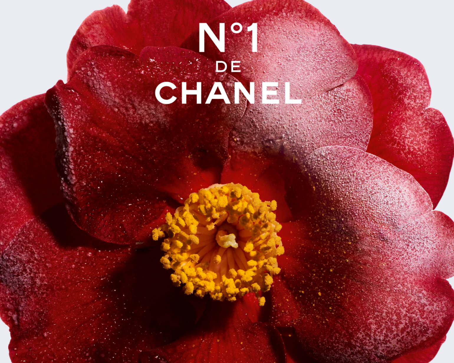 Chanel N°1 bei Schuback